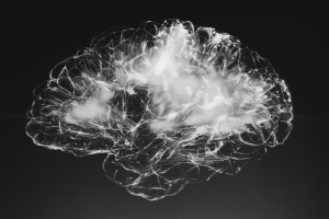 photo of brain